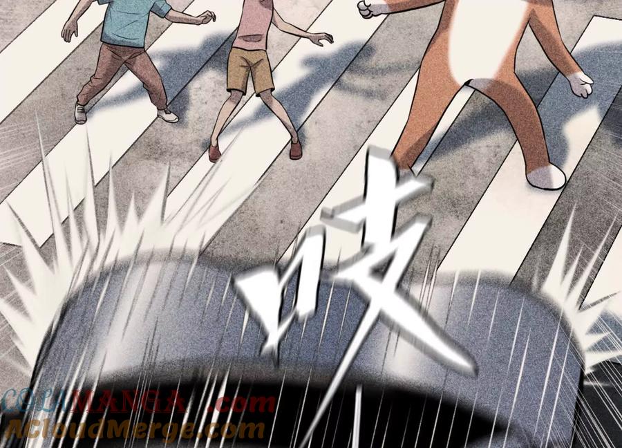 第245页
