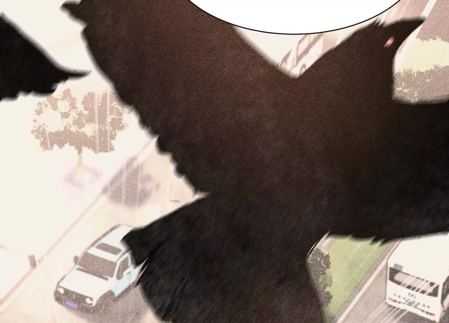 第258页