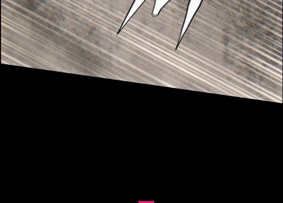 第266页