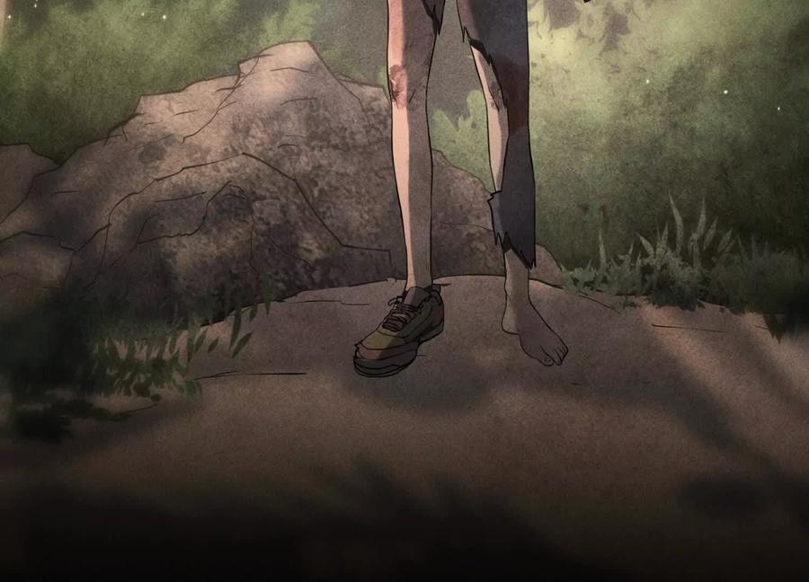 第255页
