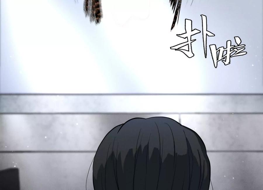第266页