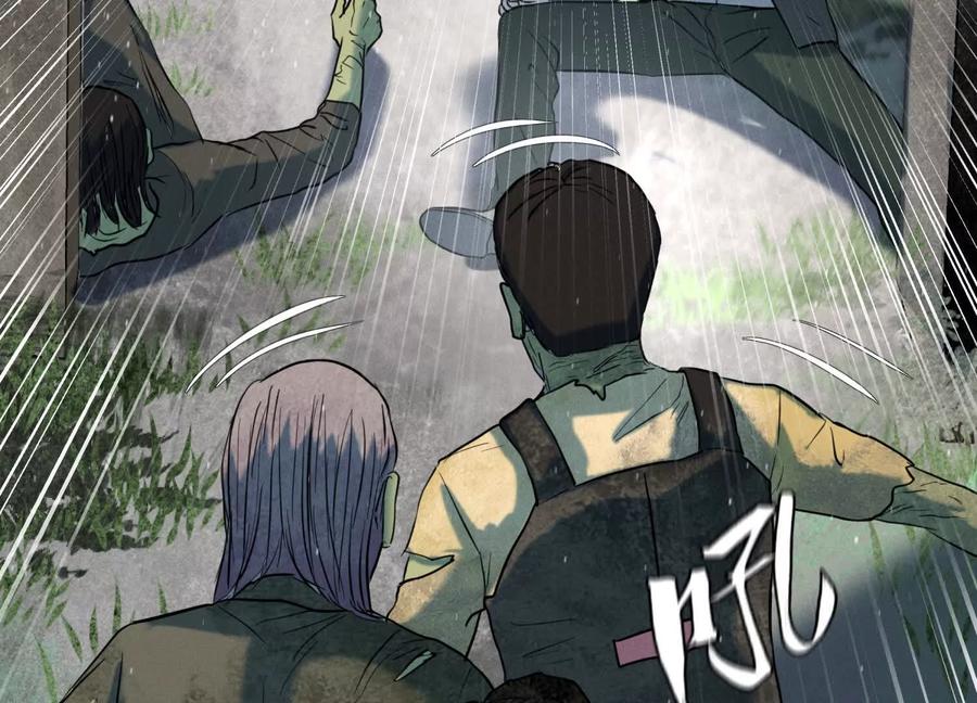 第204页