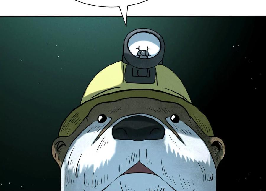 第246页