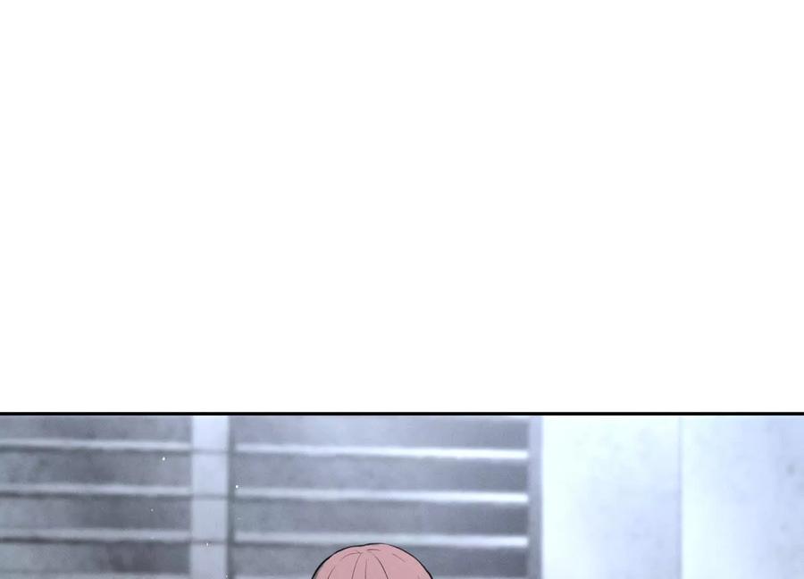 第260页