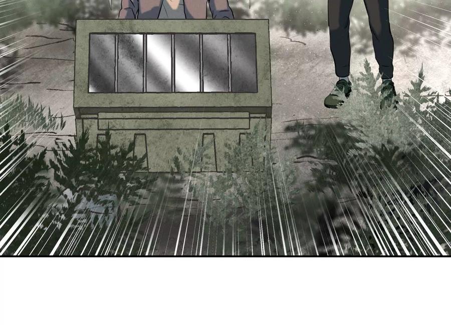 第246页