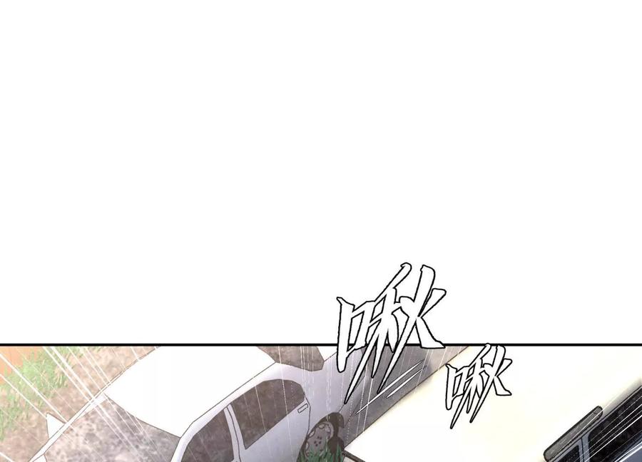 第251页