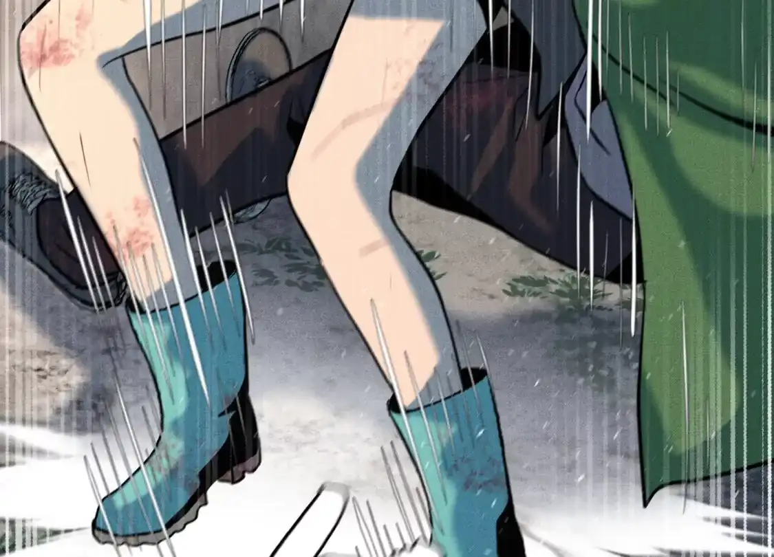 第204页