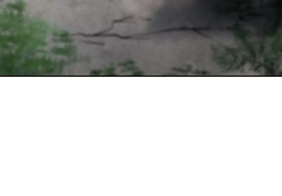 第246页
