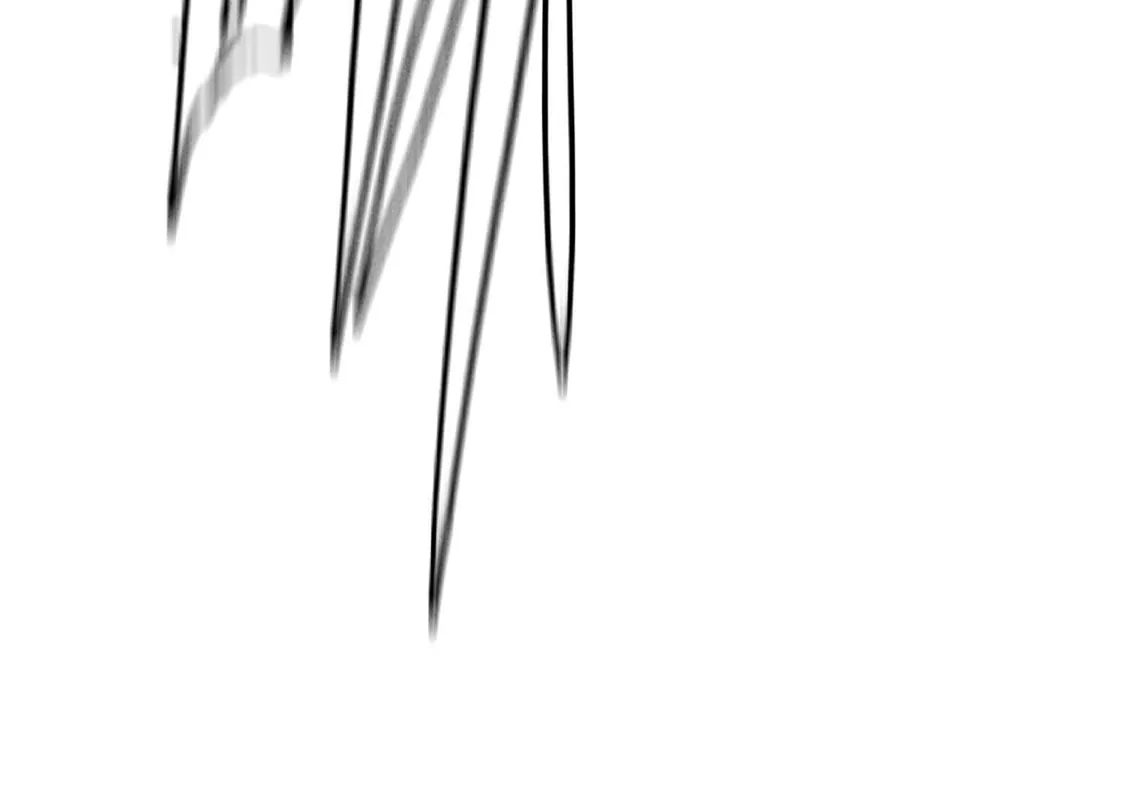 第241页