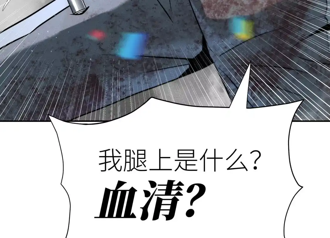 第204页