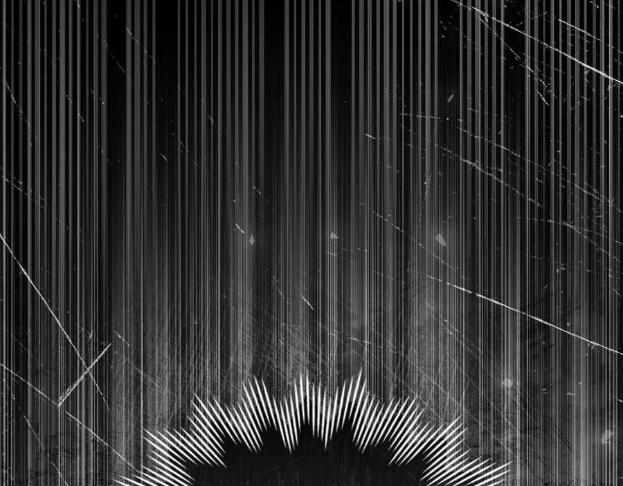 第204页