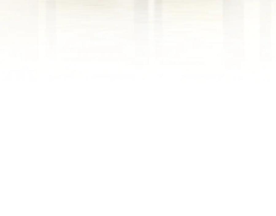 第239页