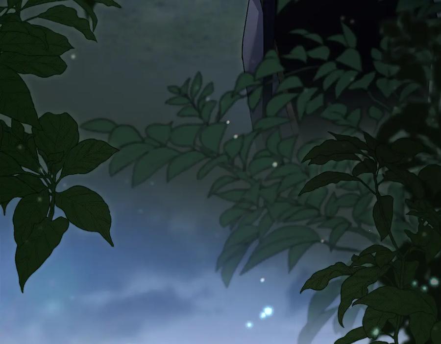 第215页