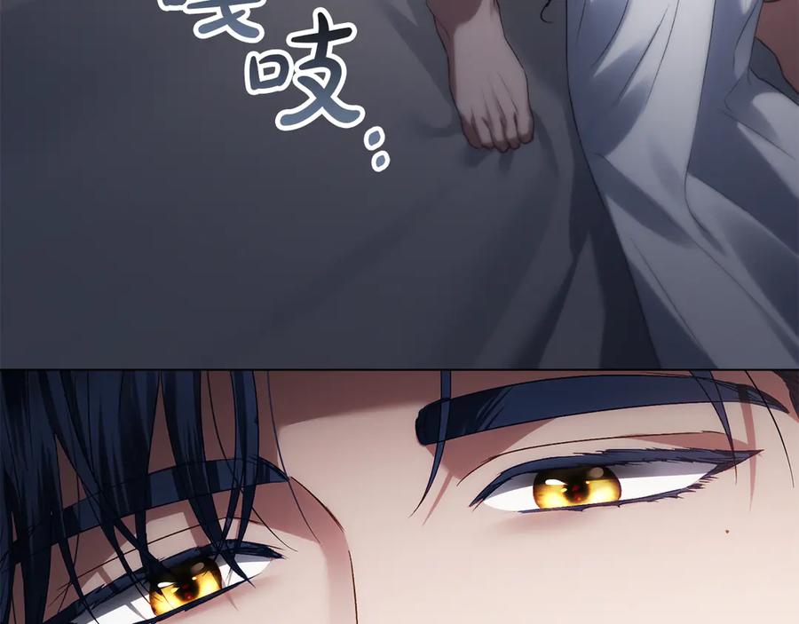 第216页
