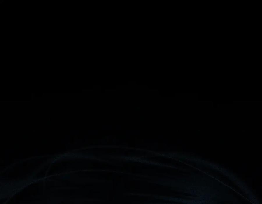第194页