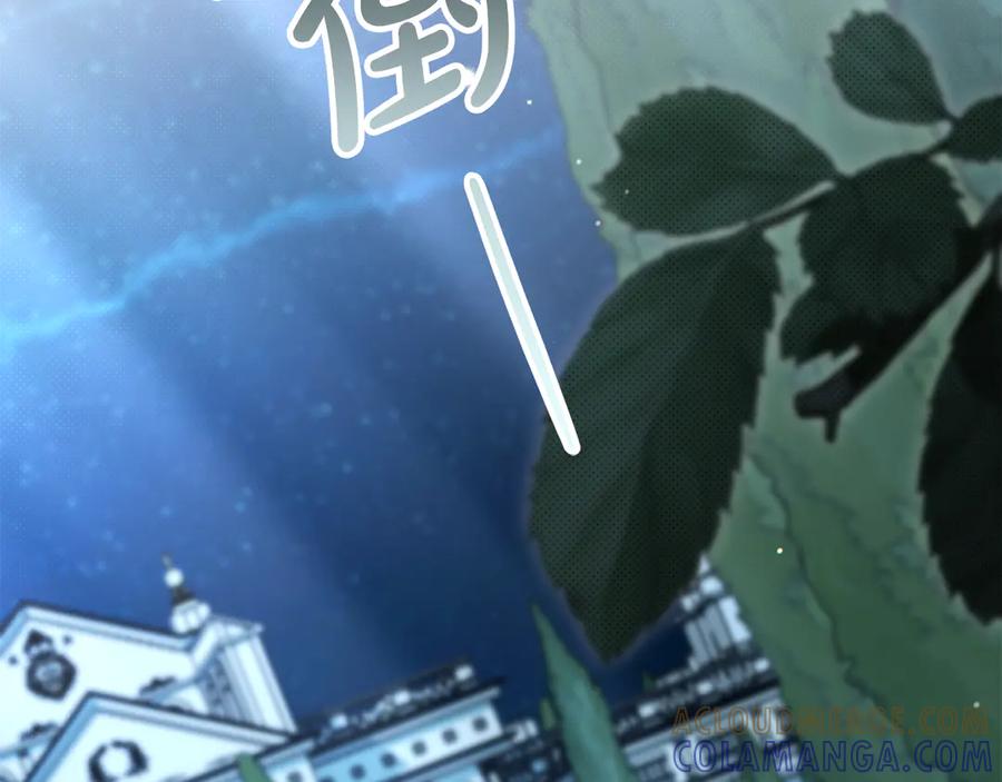 第217页