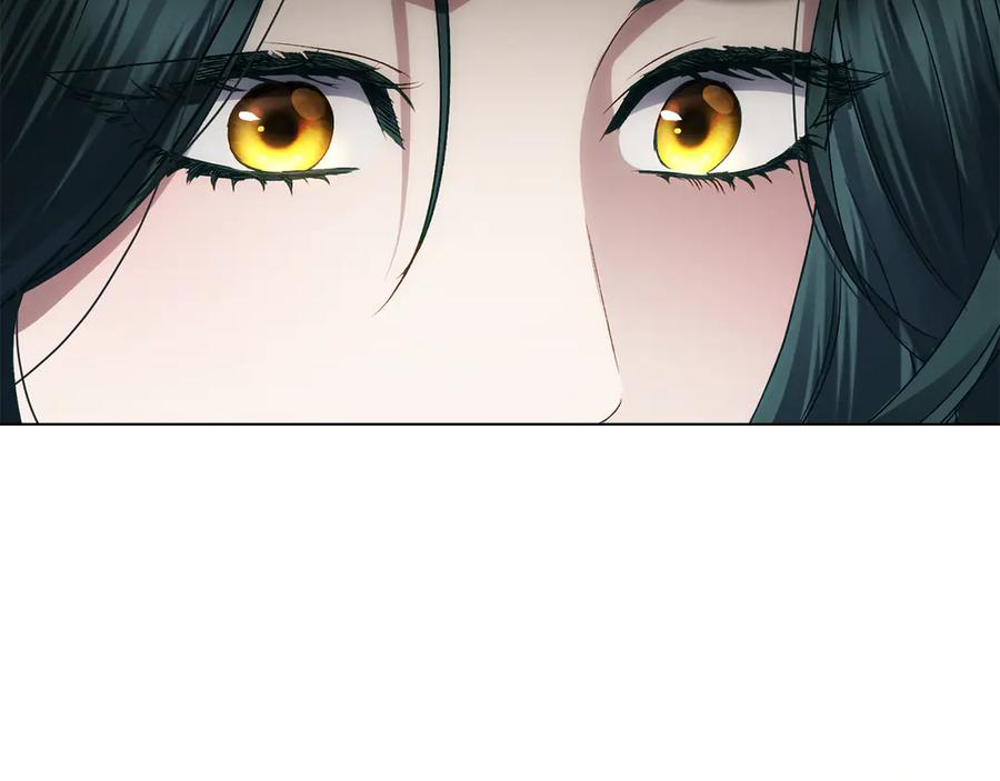 第215页