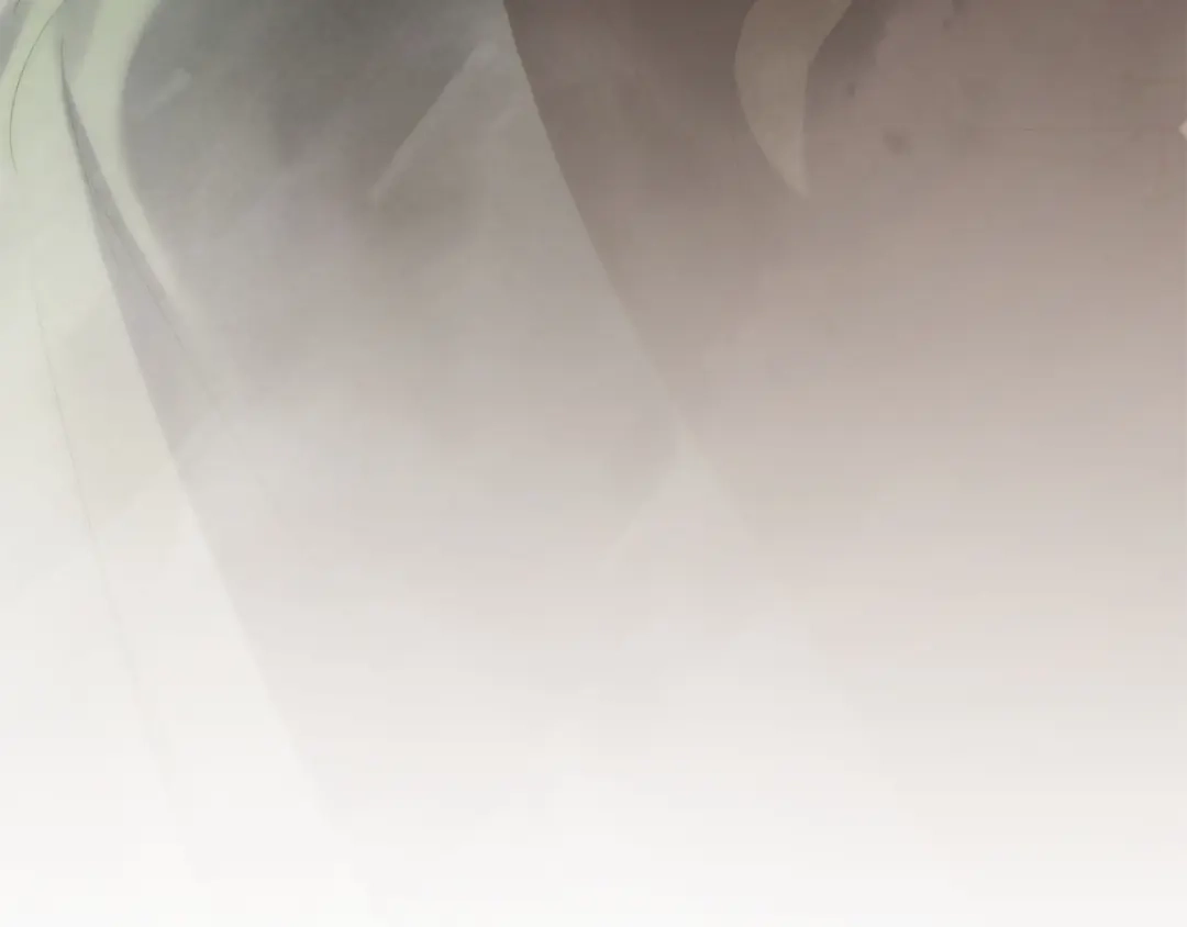 第223页