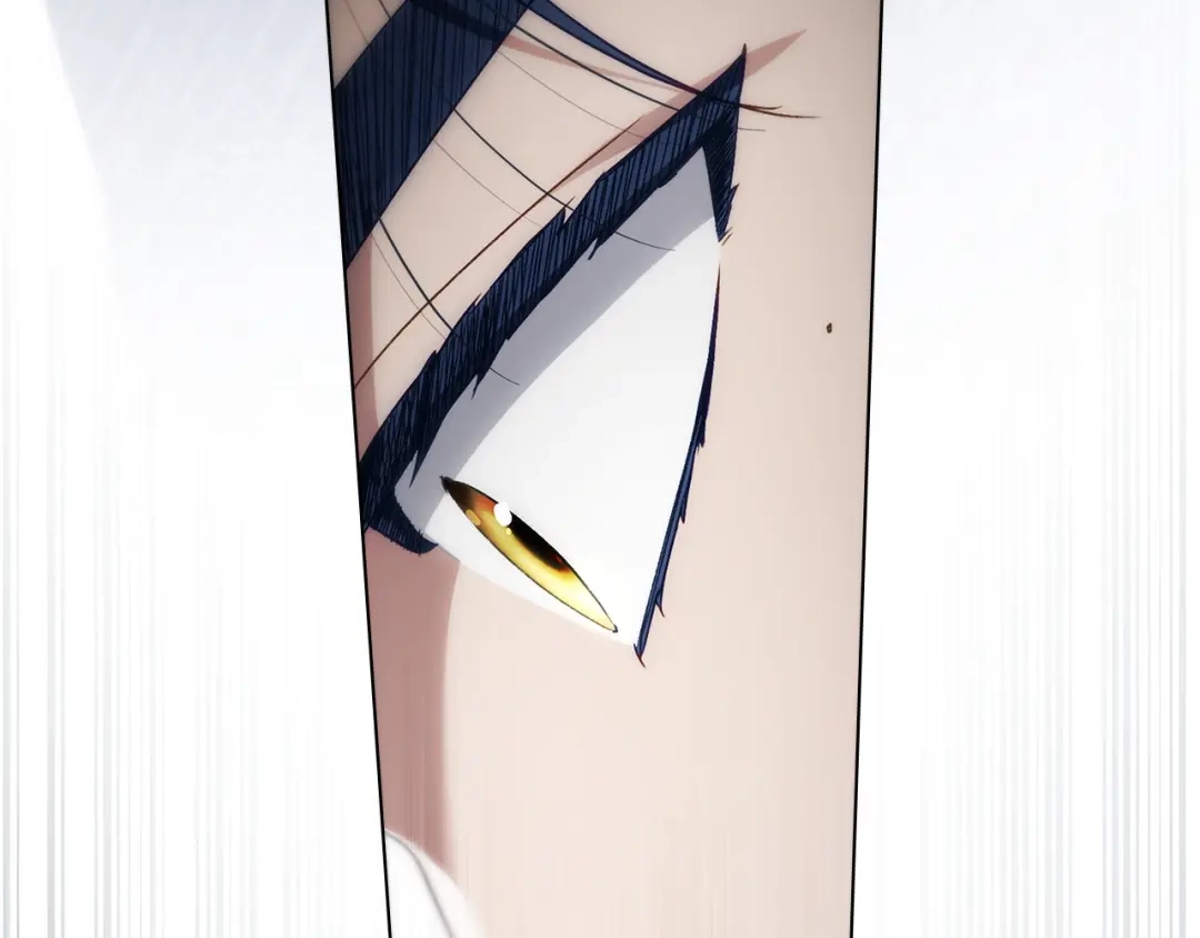 第441页