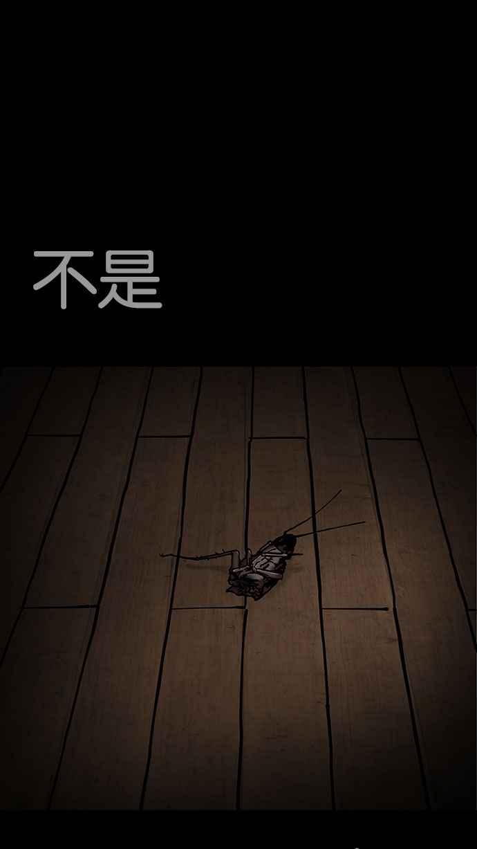 第237页
