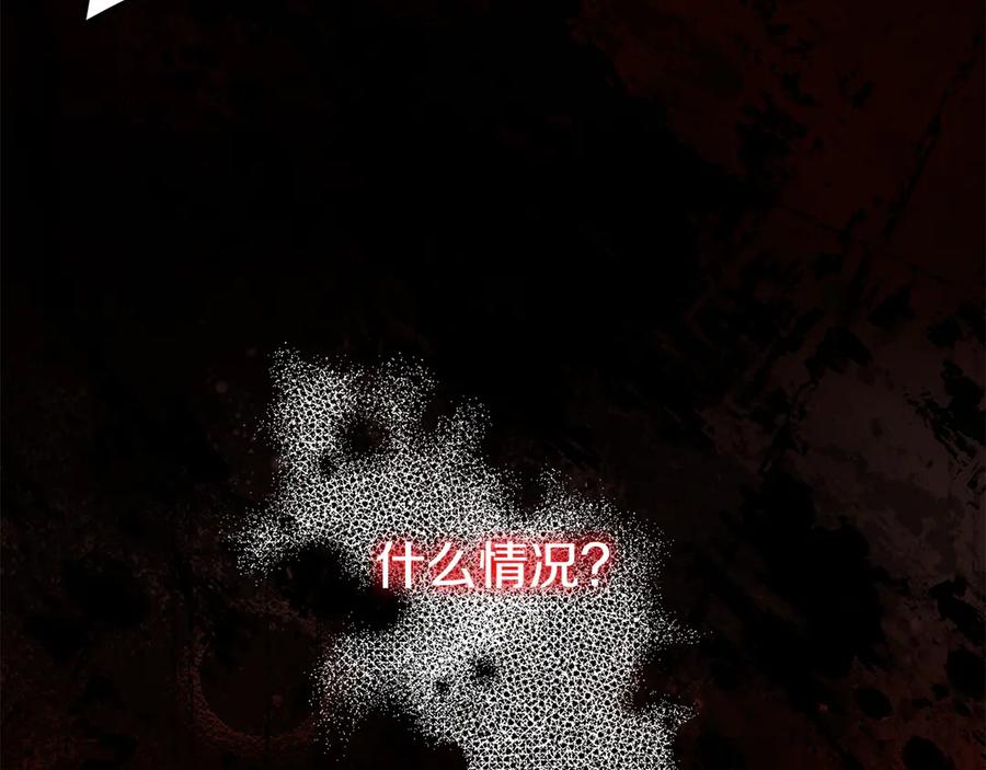 第214页