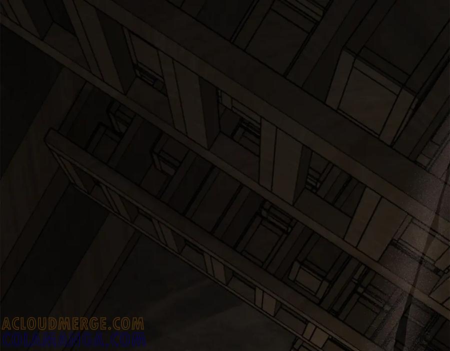 第213页
