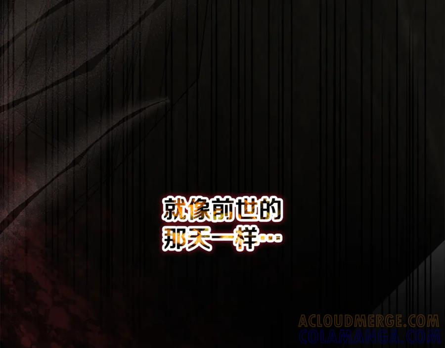 第217页