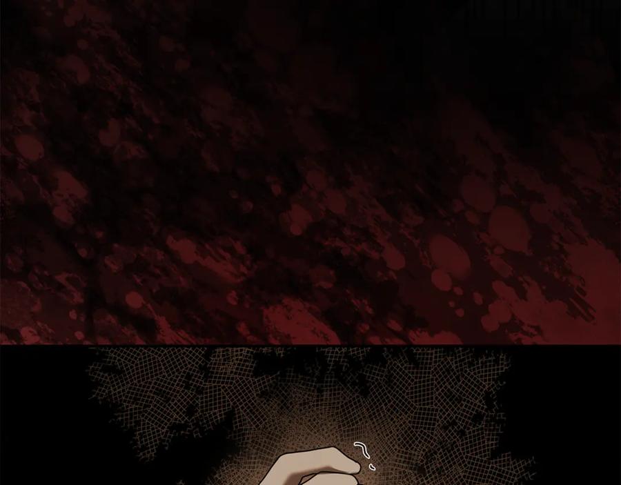 第218页