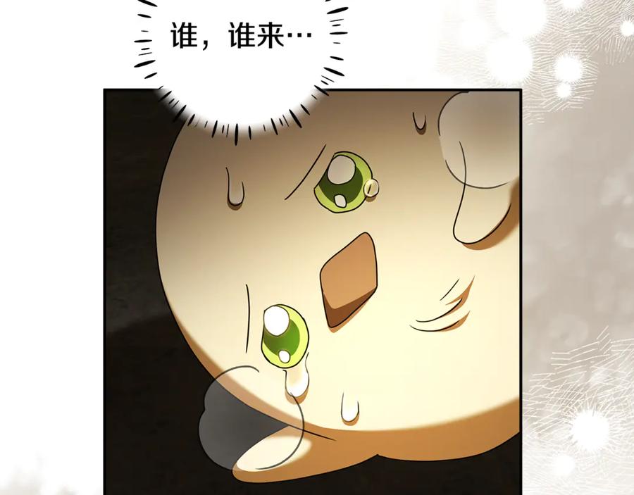第240页