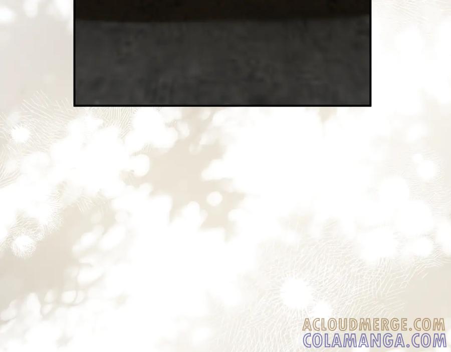 第241页
