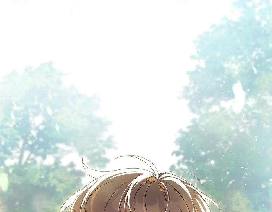 第246页