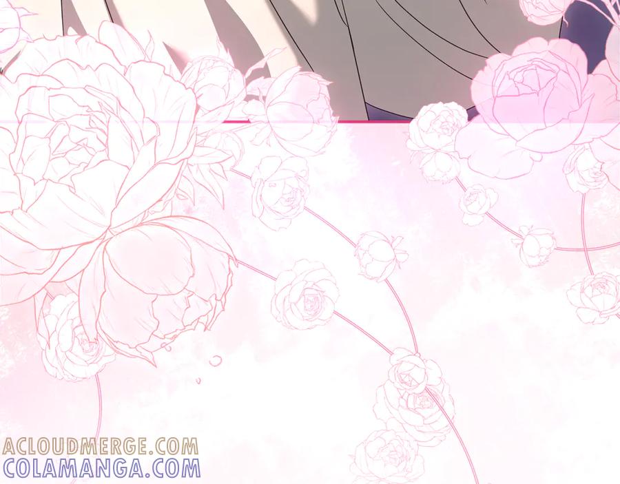 第221页