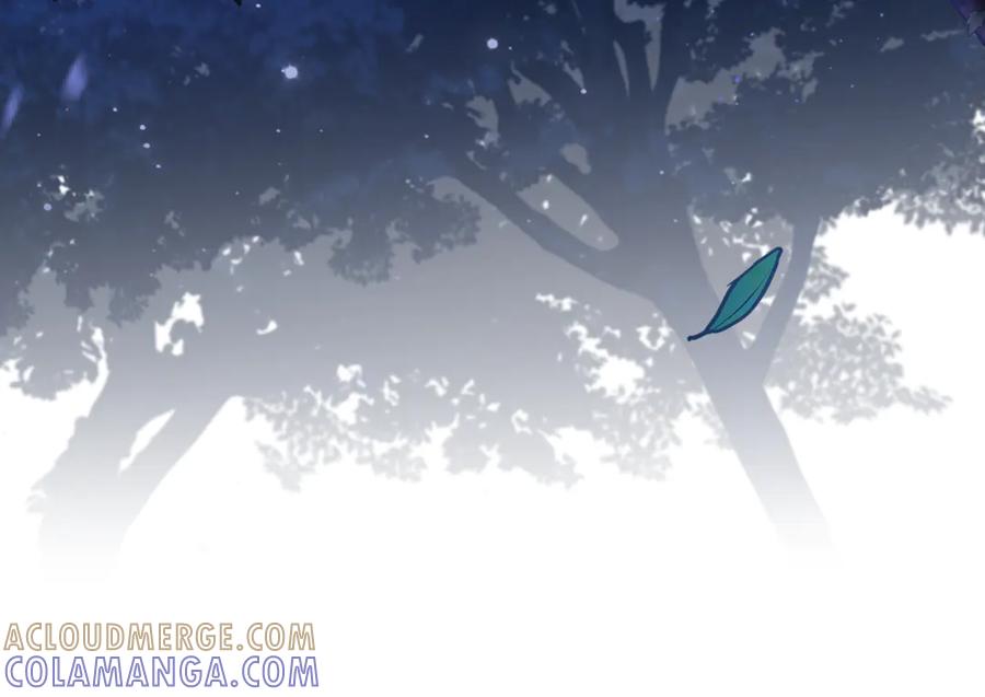 第213页