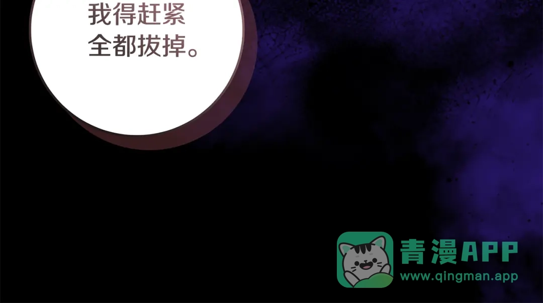 第196页