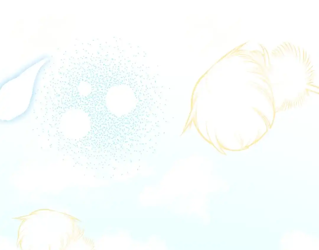 第214页