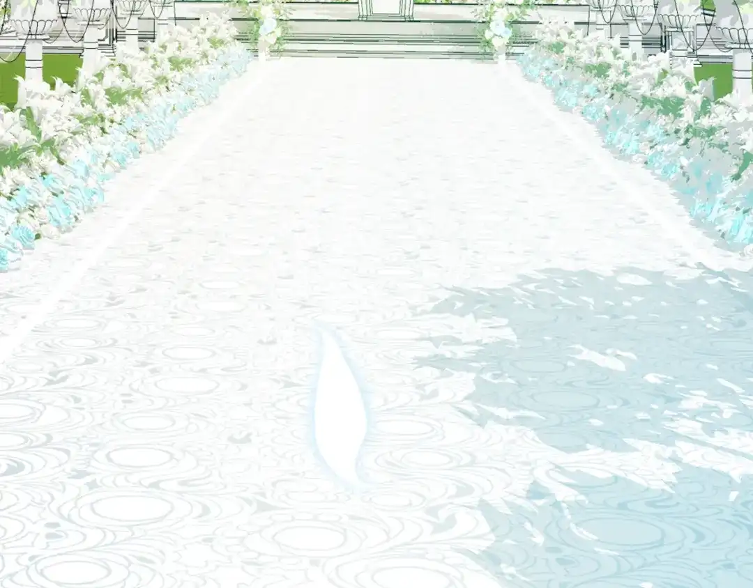 第217页