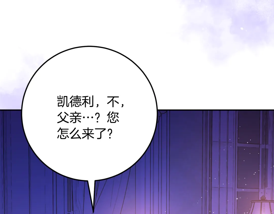 第204页