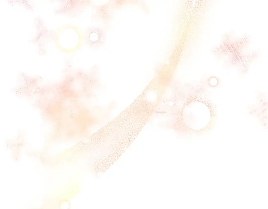 第216页