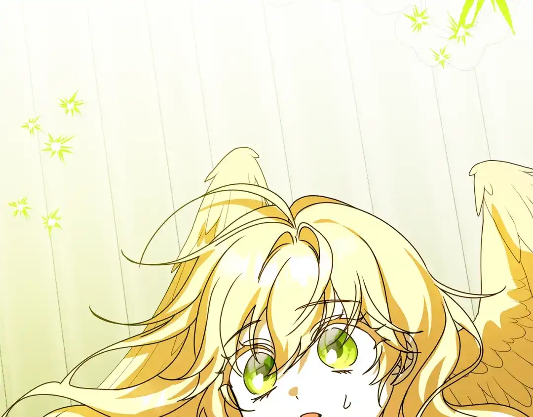 第215页