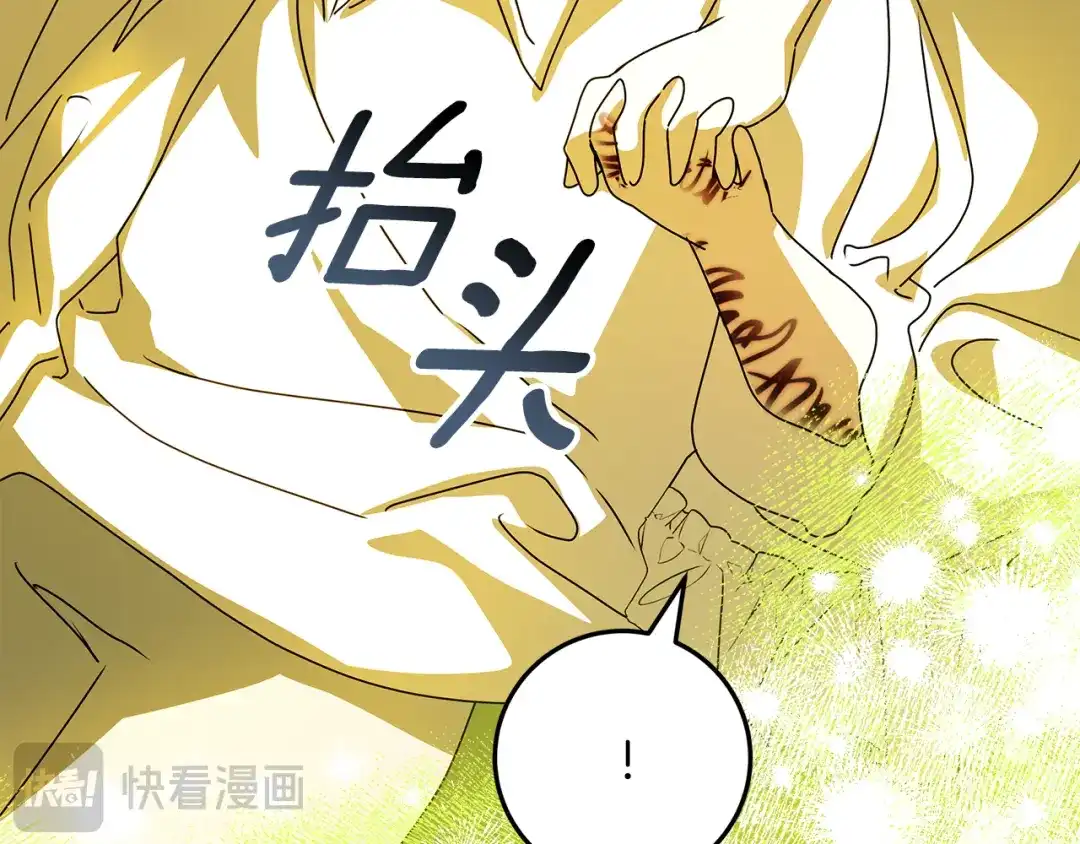 第217页