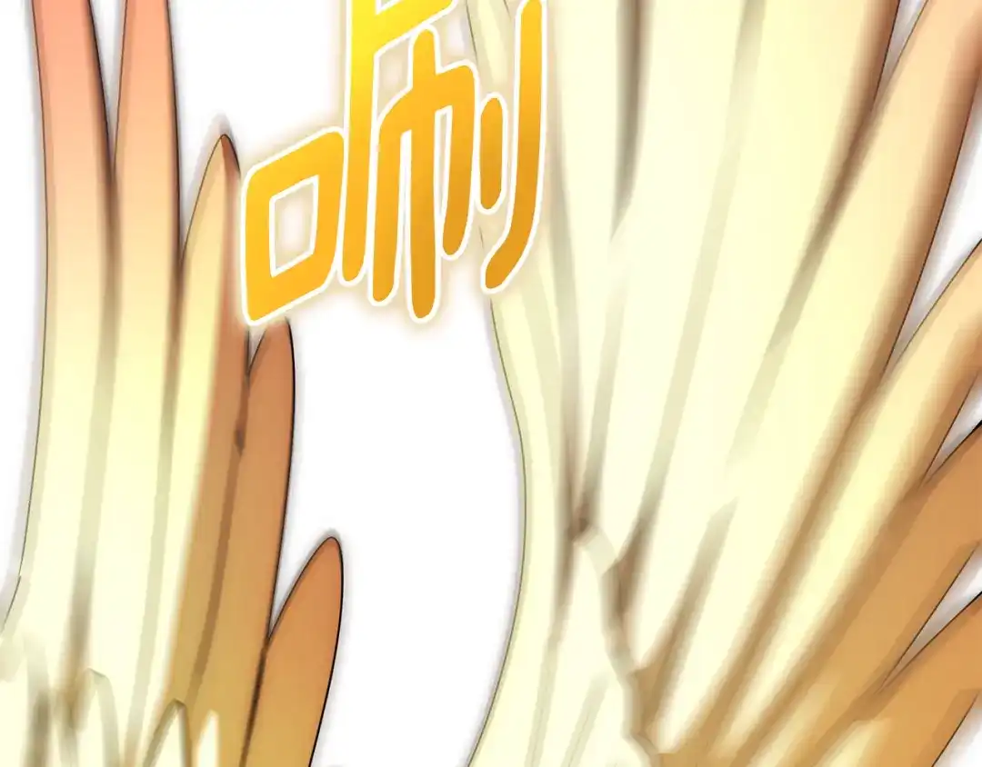 第215页