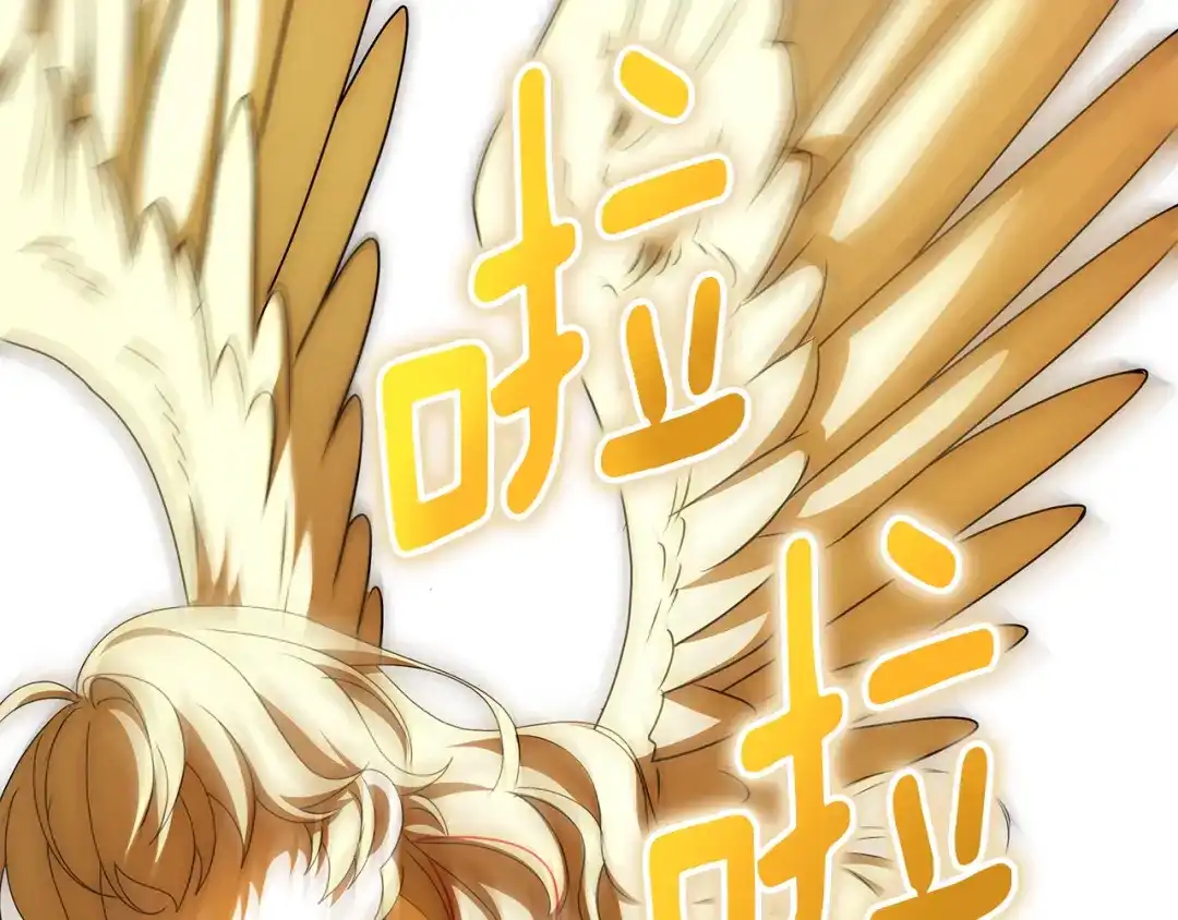 第216页
