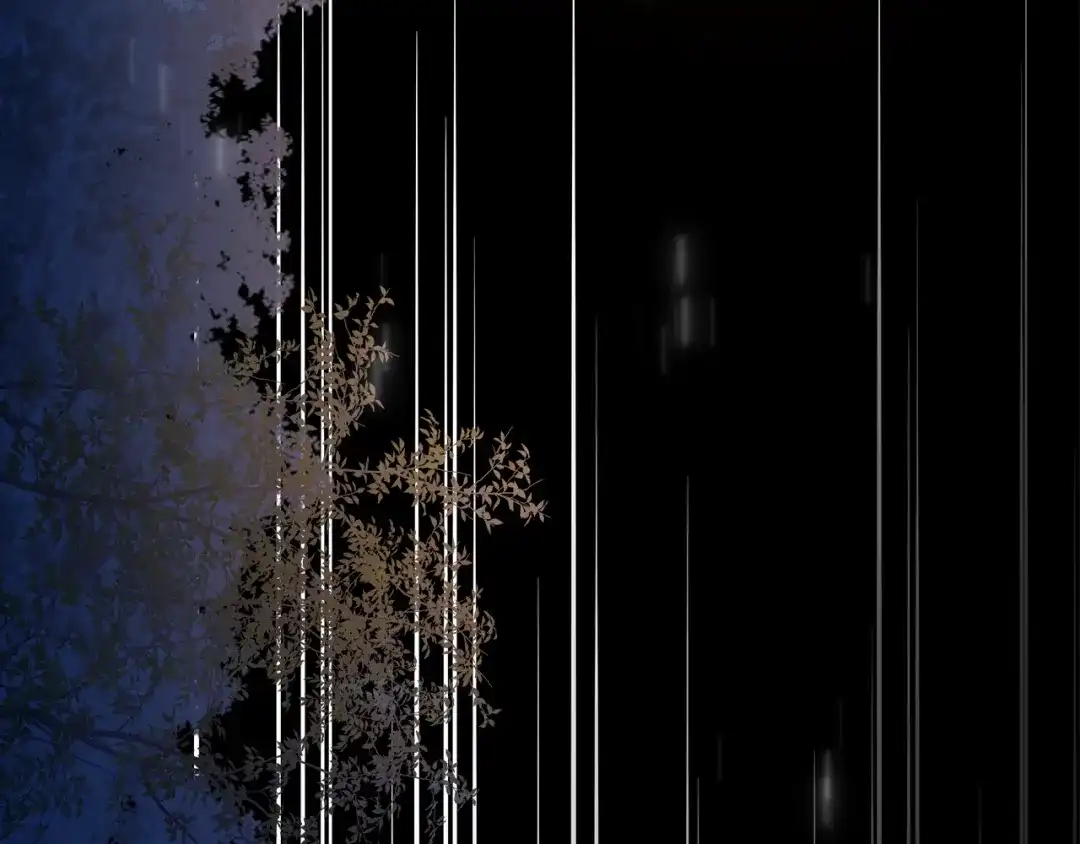第224页