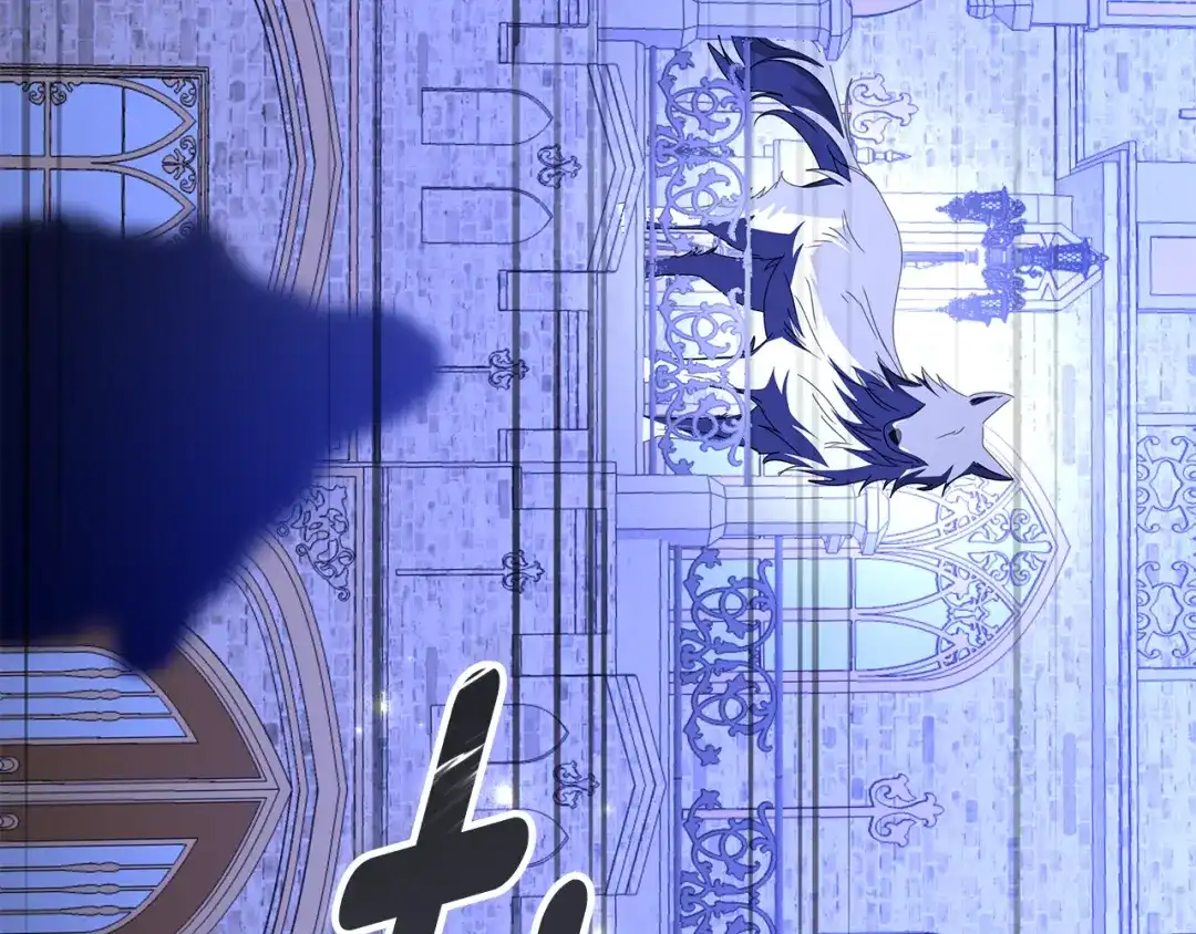 第271页