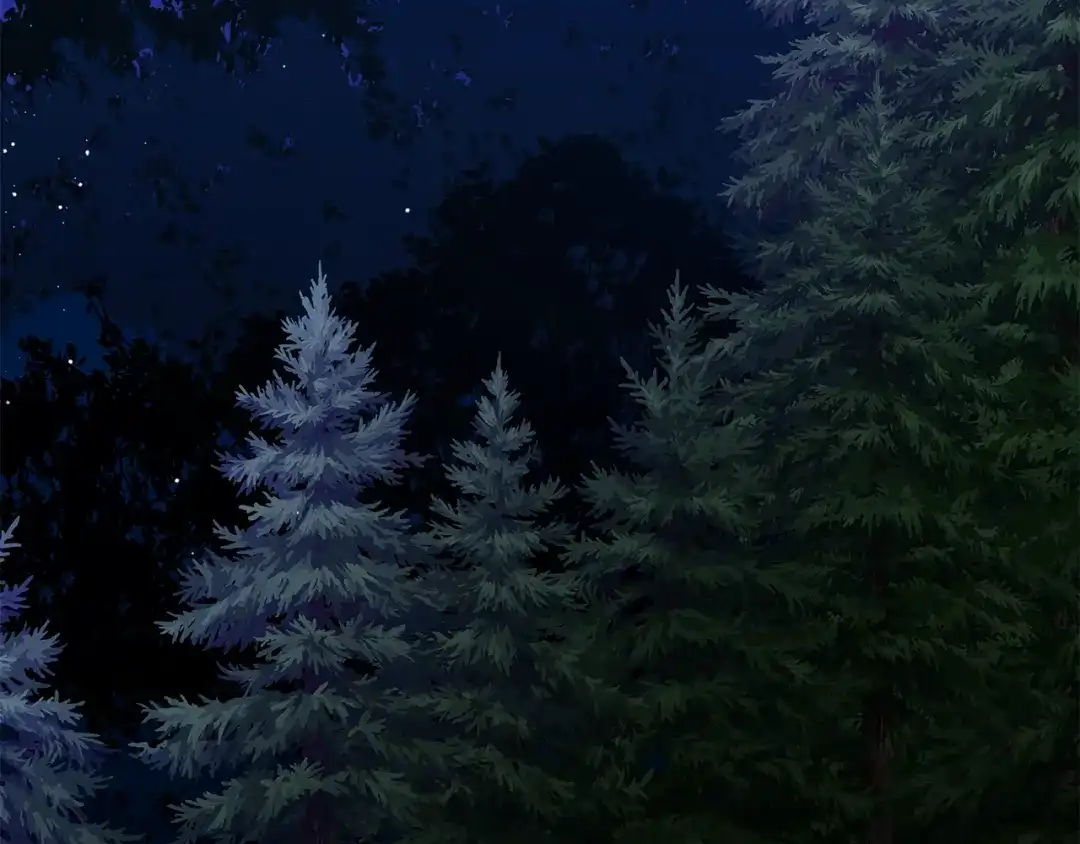 第232页