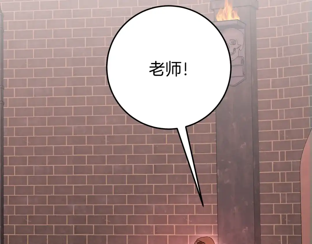 第243页