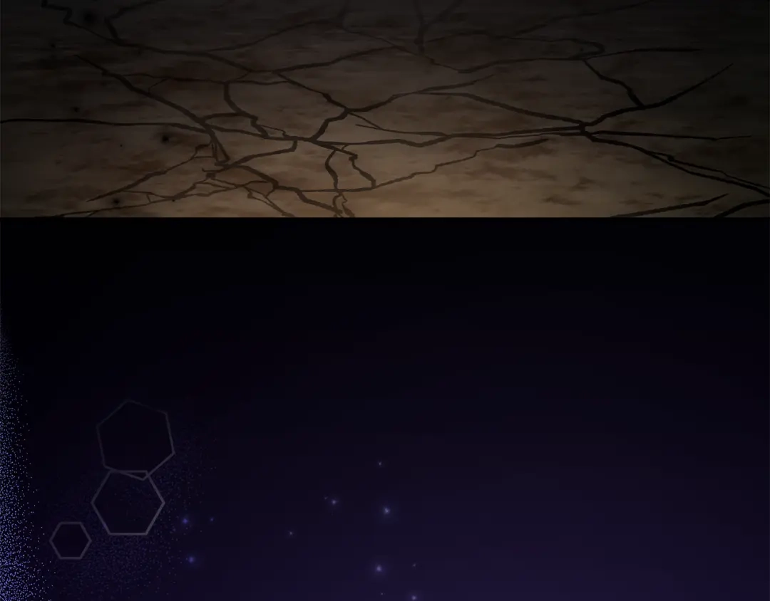 第249页