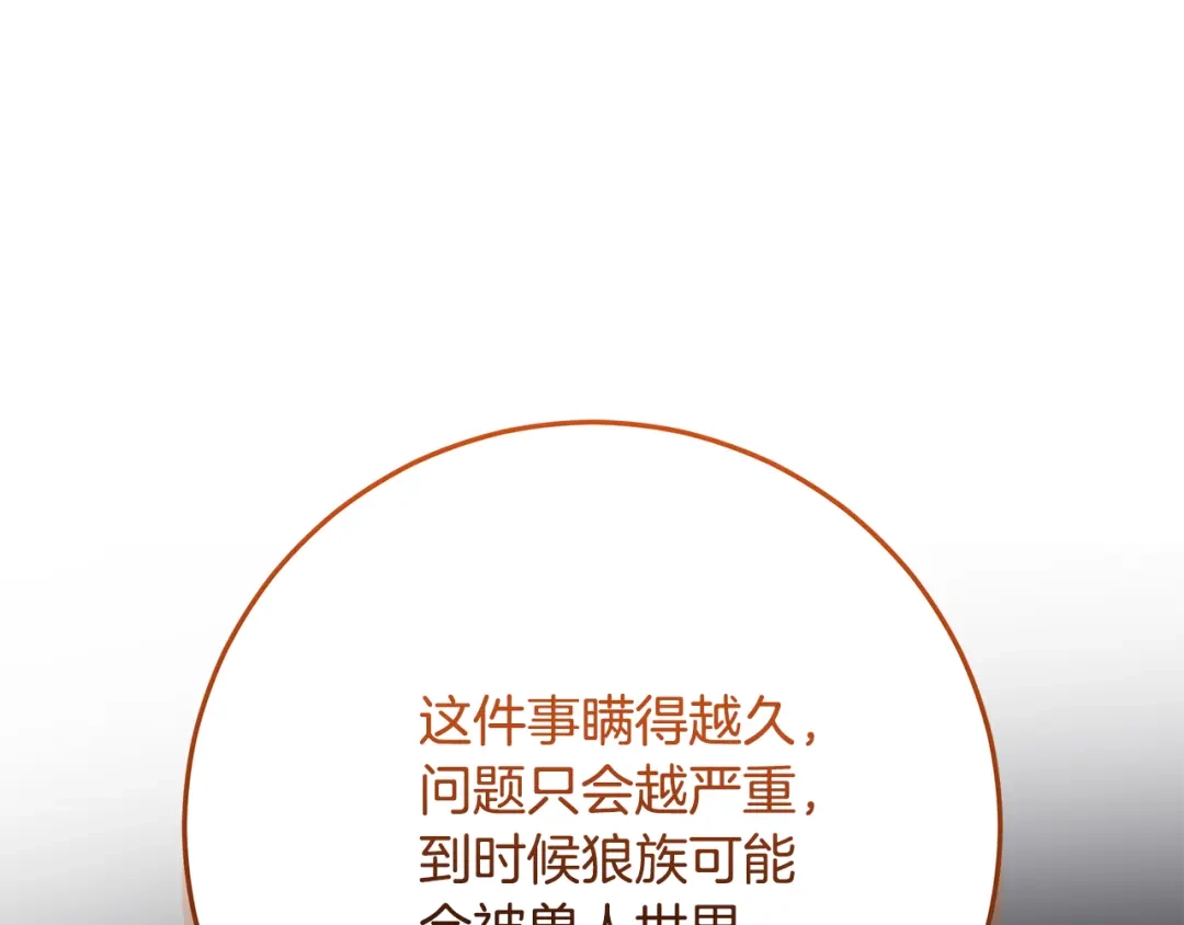 第242页