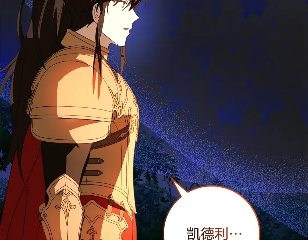 第215页