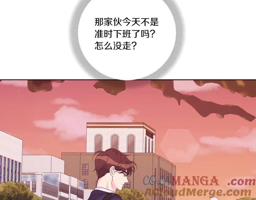 第213页
